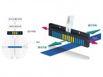 澳新国际